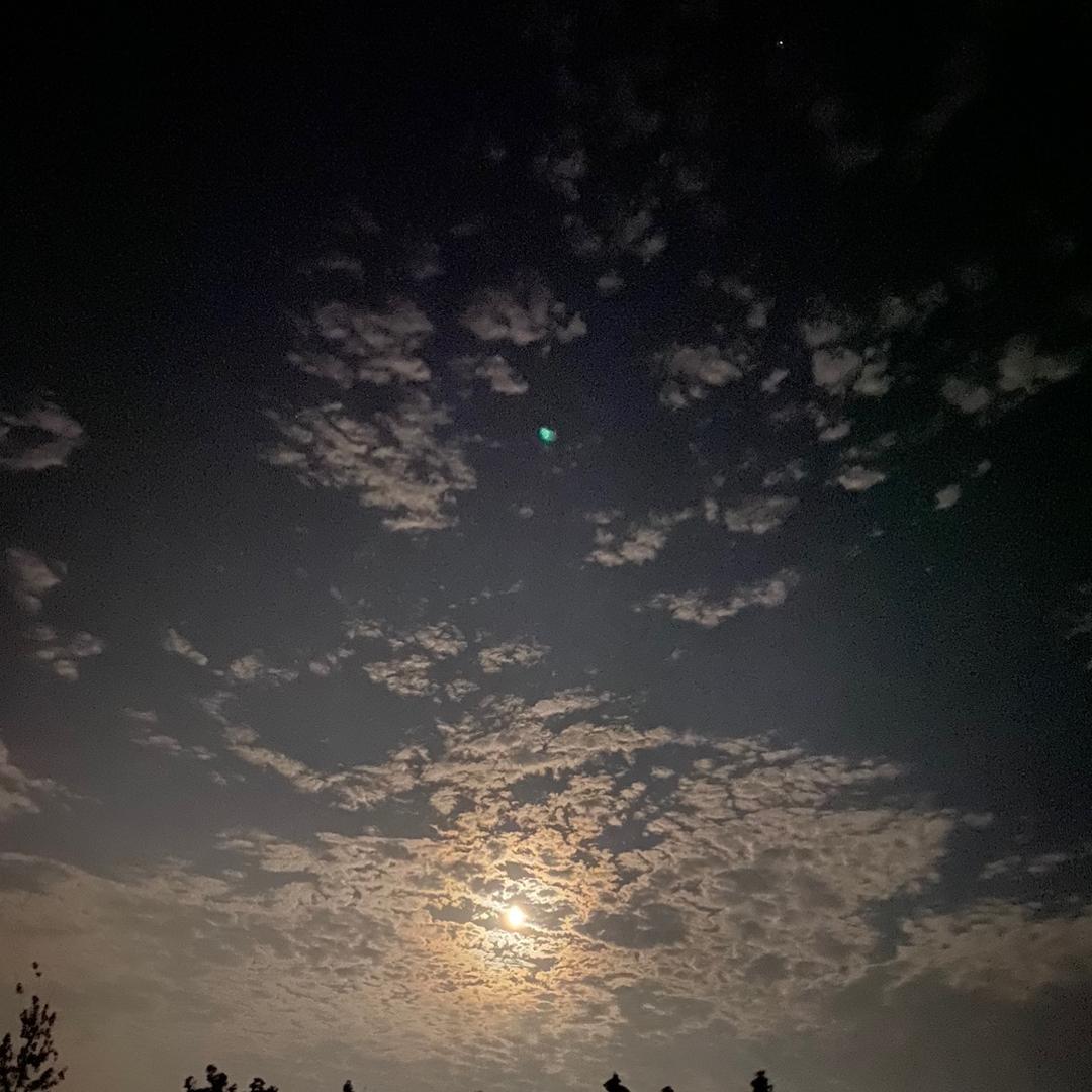 扯什么猫