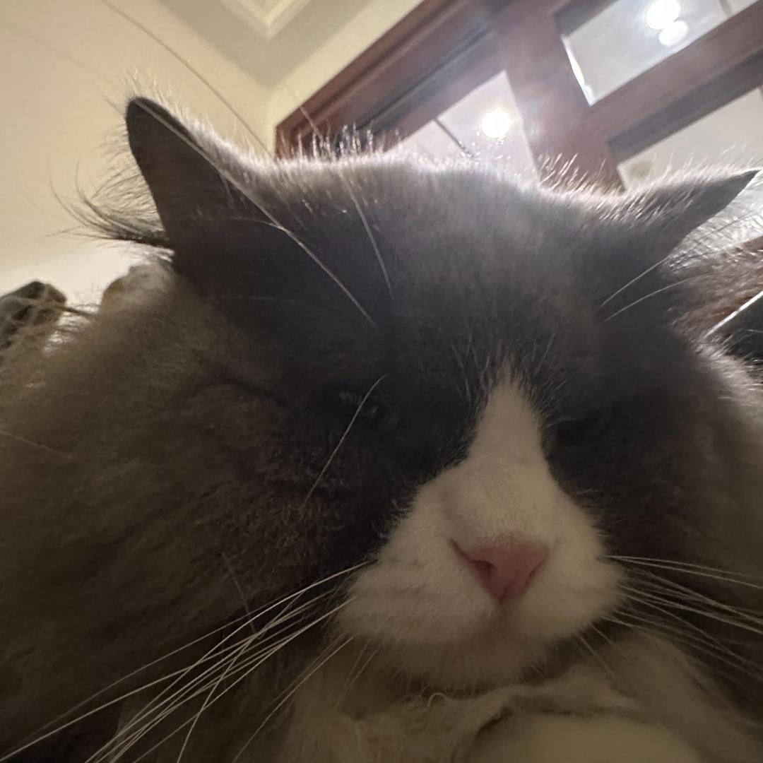 CHARLIE.
