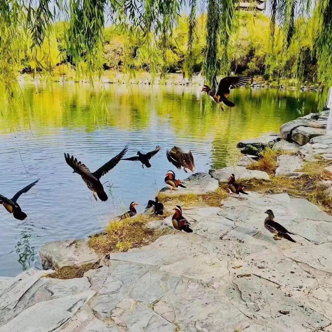 云路