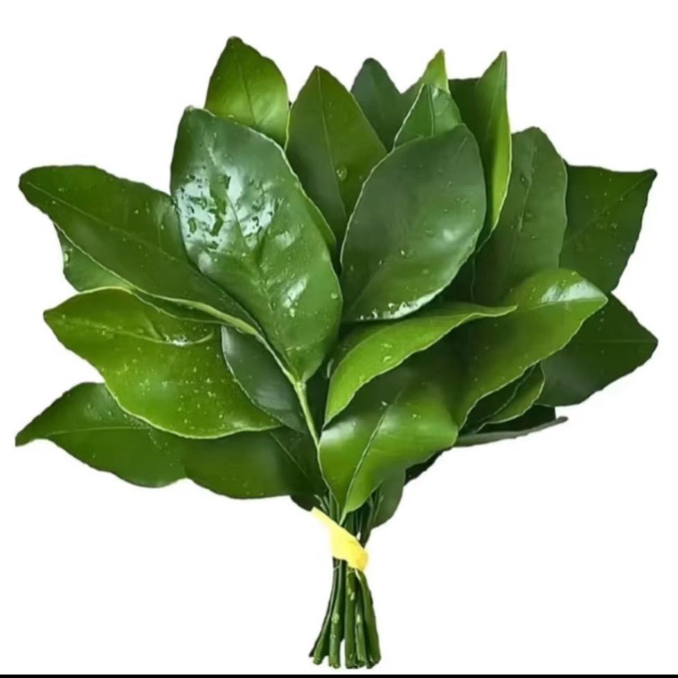 小微豆.