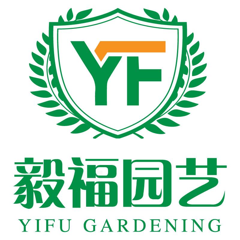 毅福造型网红绿植批发