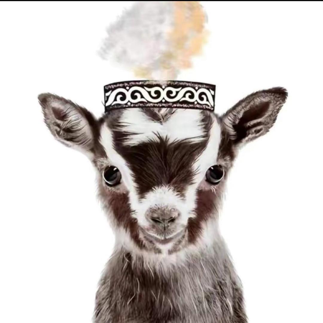 СаЙОШКа ❣️