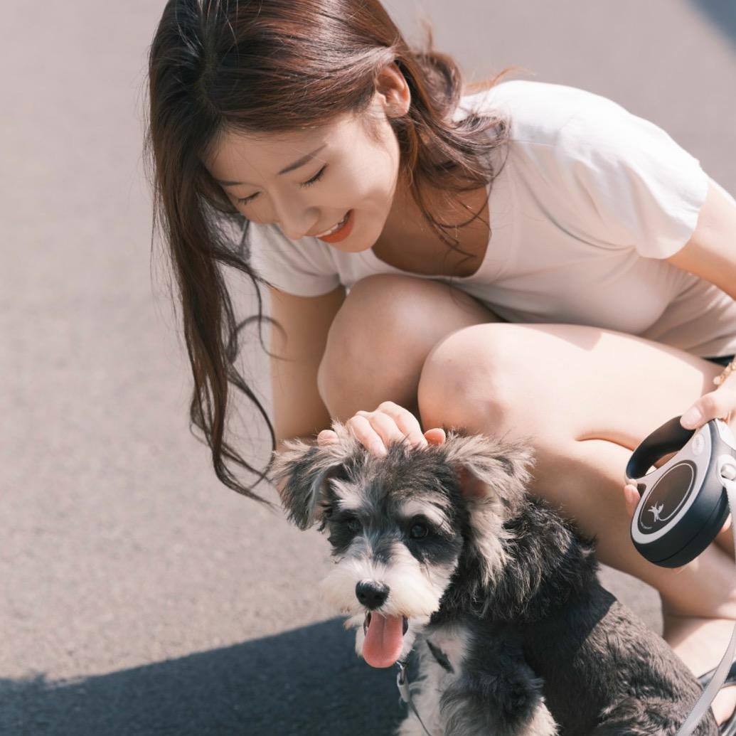 进击的玉