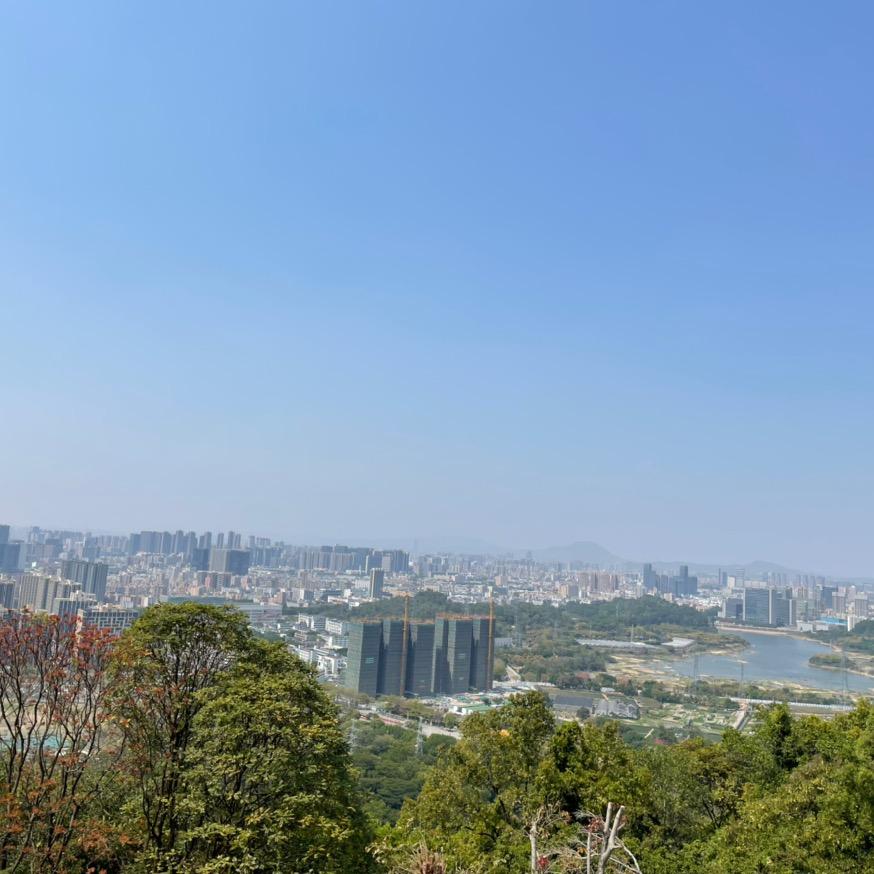 是小菜呀
