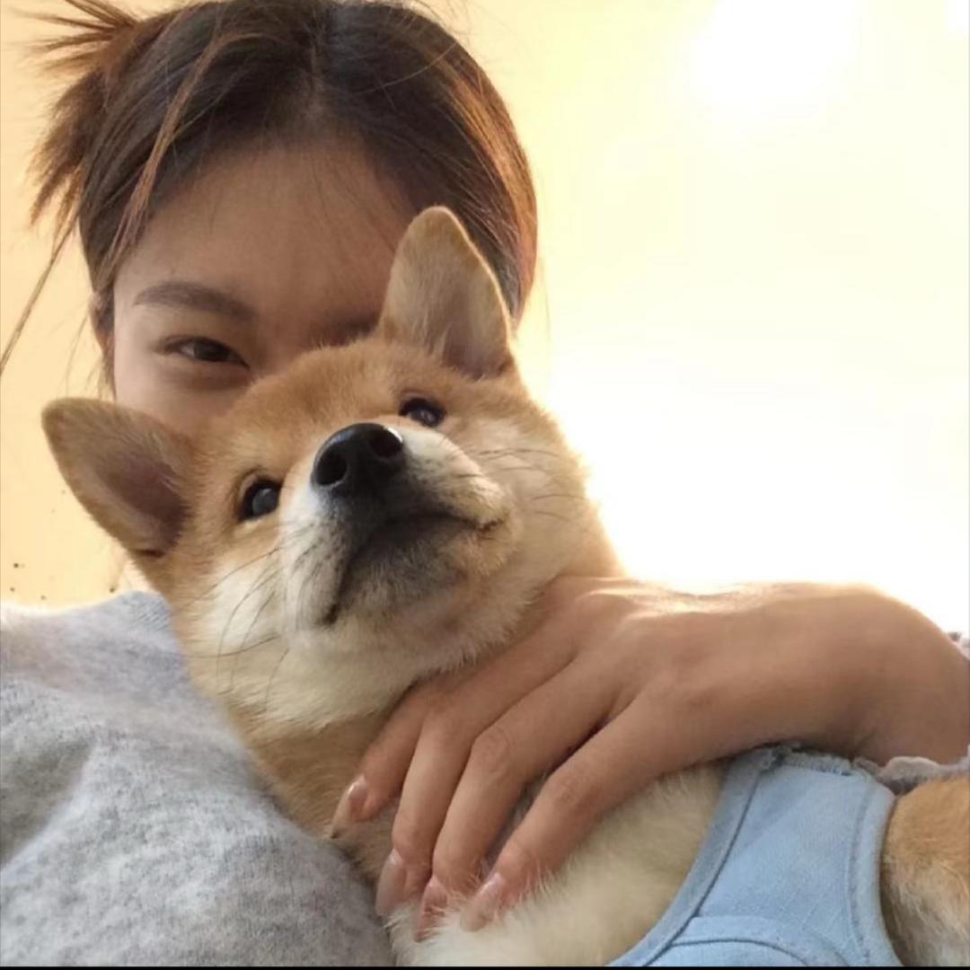 焦糖布丁-