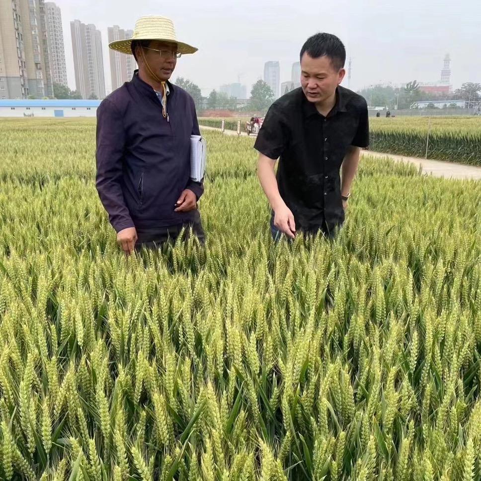 大乐哥