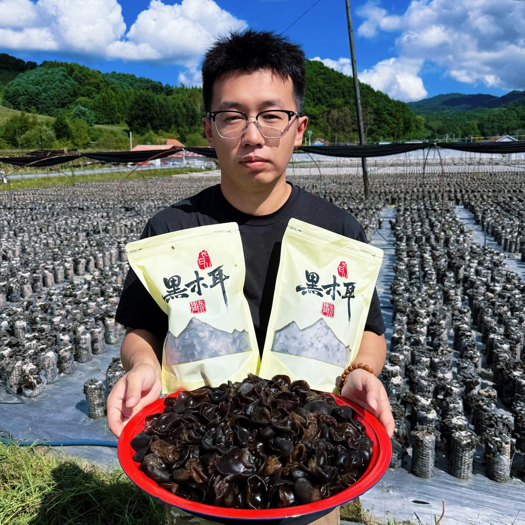 小松特产黑木耳