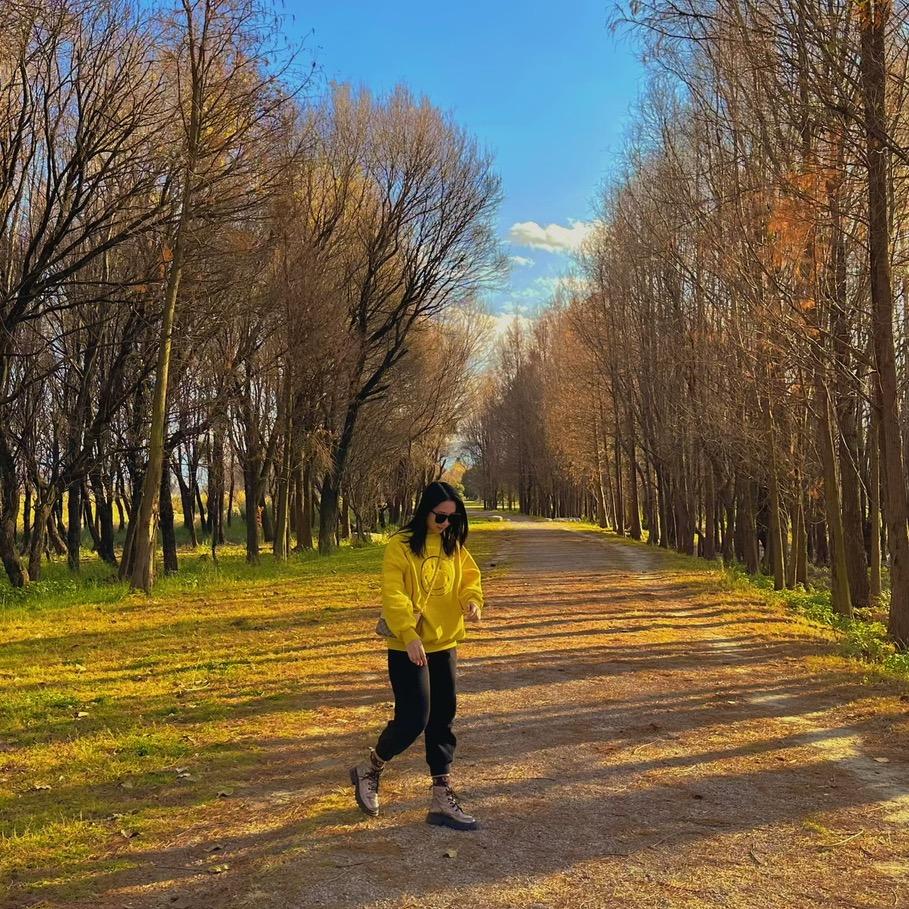 是晴天吖🌤
