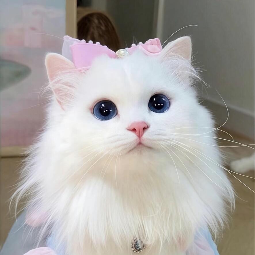 鱼芽子.