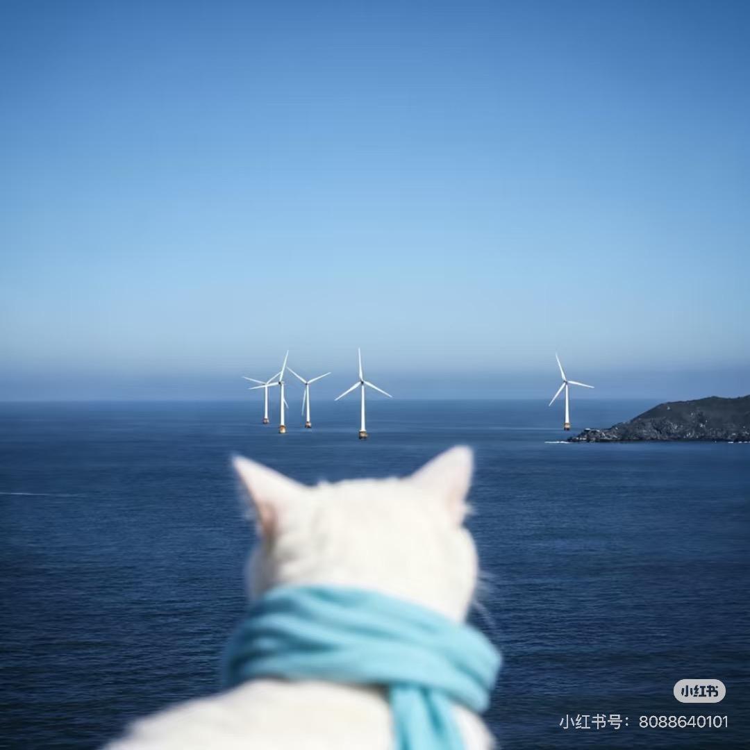 邓阿太耍剑