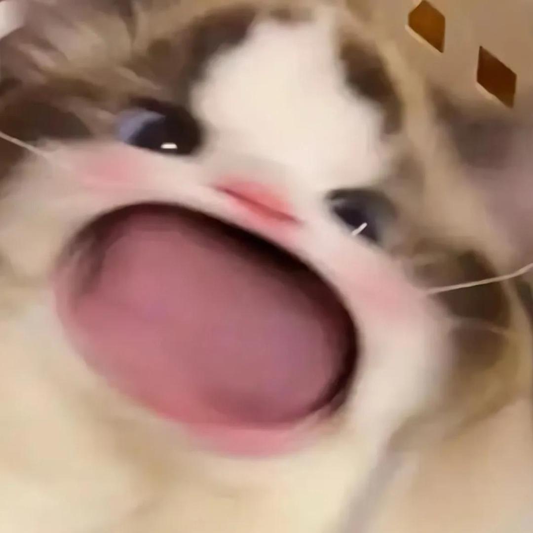 laaa