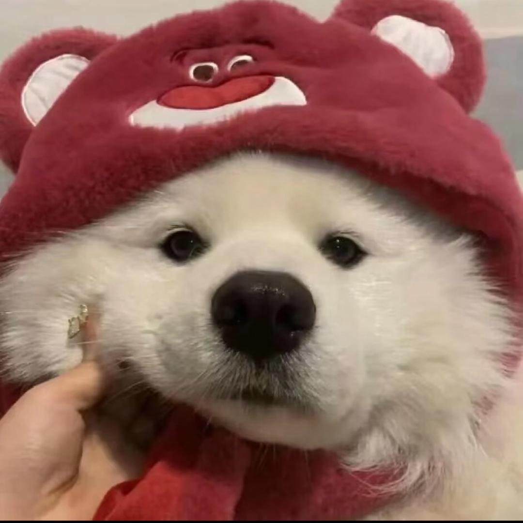 钱多多^（三角洲行动）