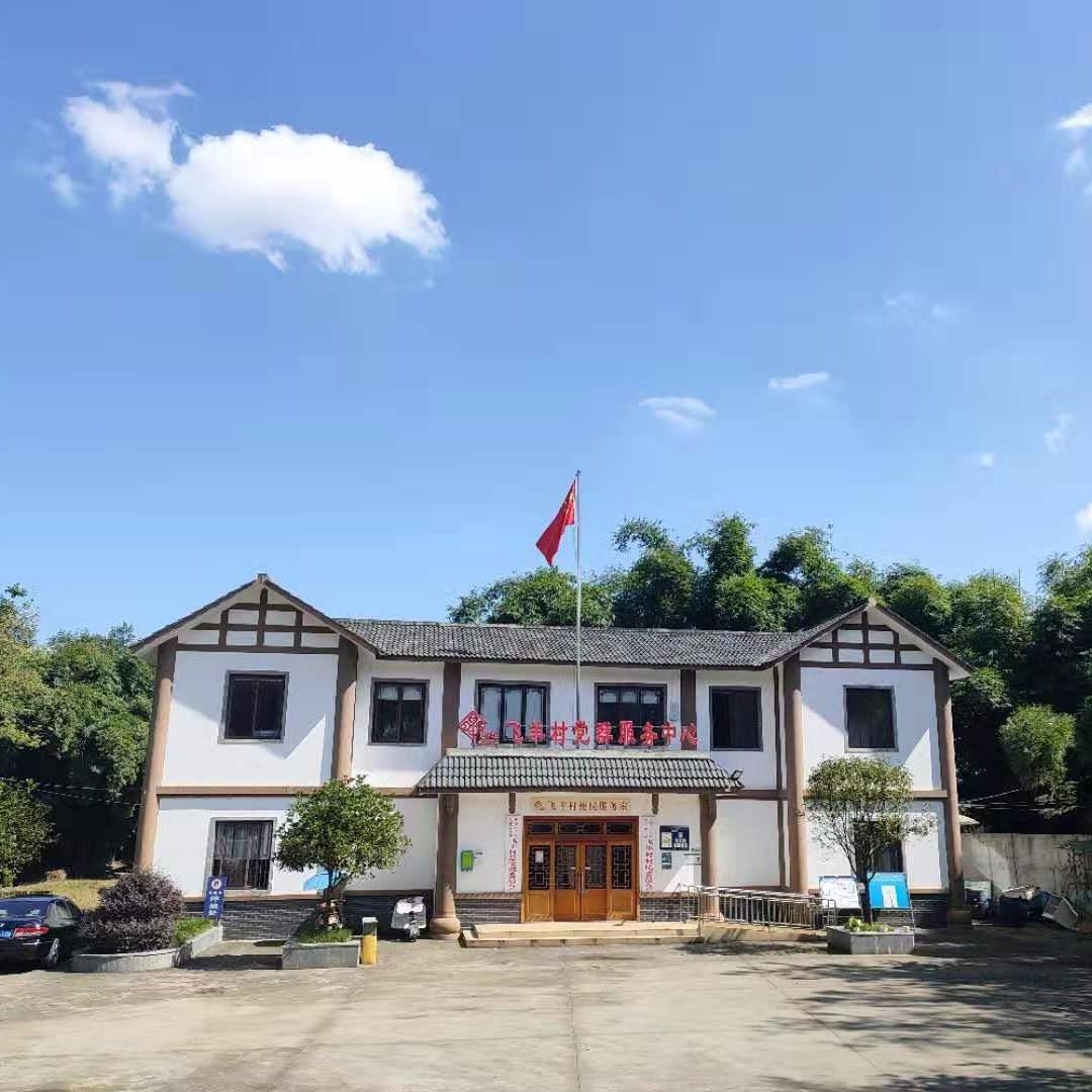 王泗镇飞羊村村委会