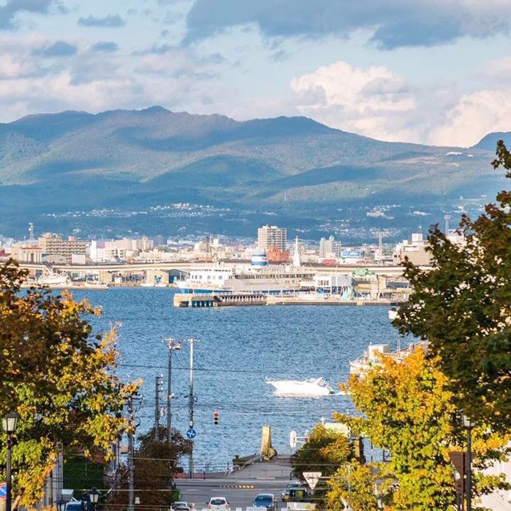 桐桐姐姐和王子弟弟