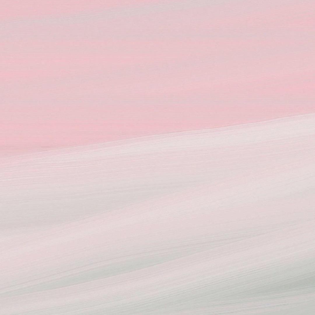 .Ponytail  等1.8万人