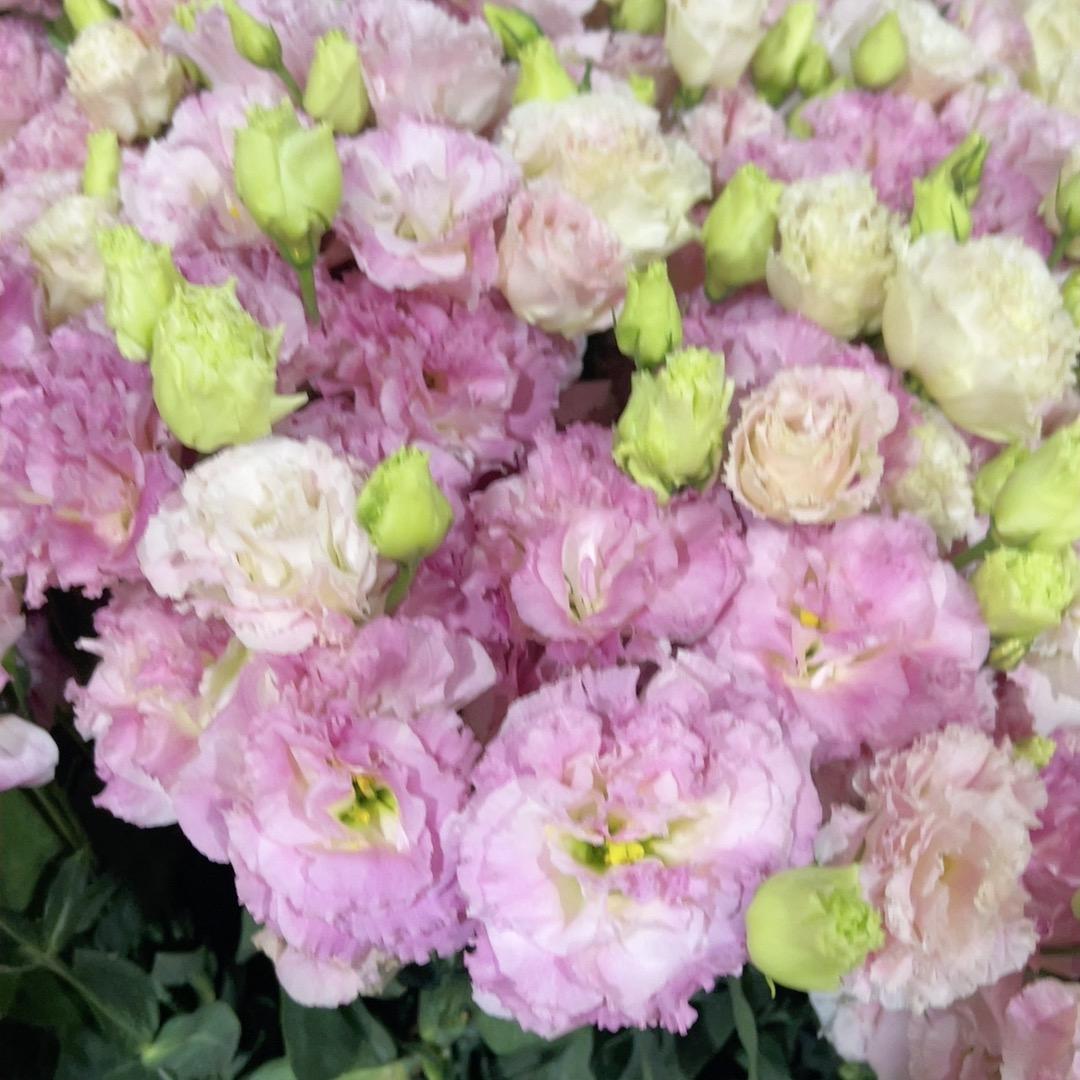 芳芳鲜花花坊