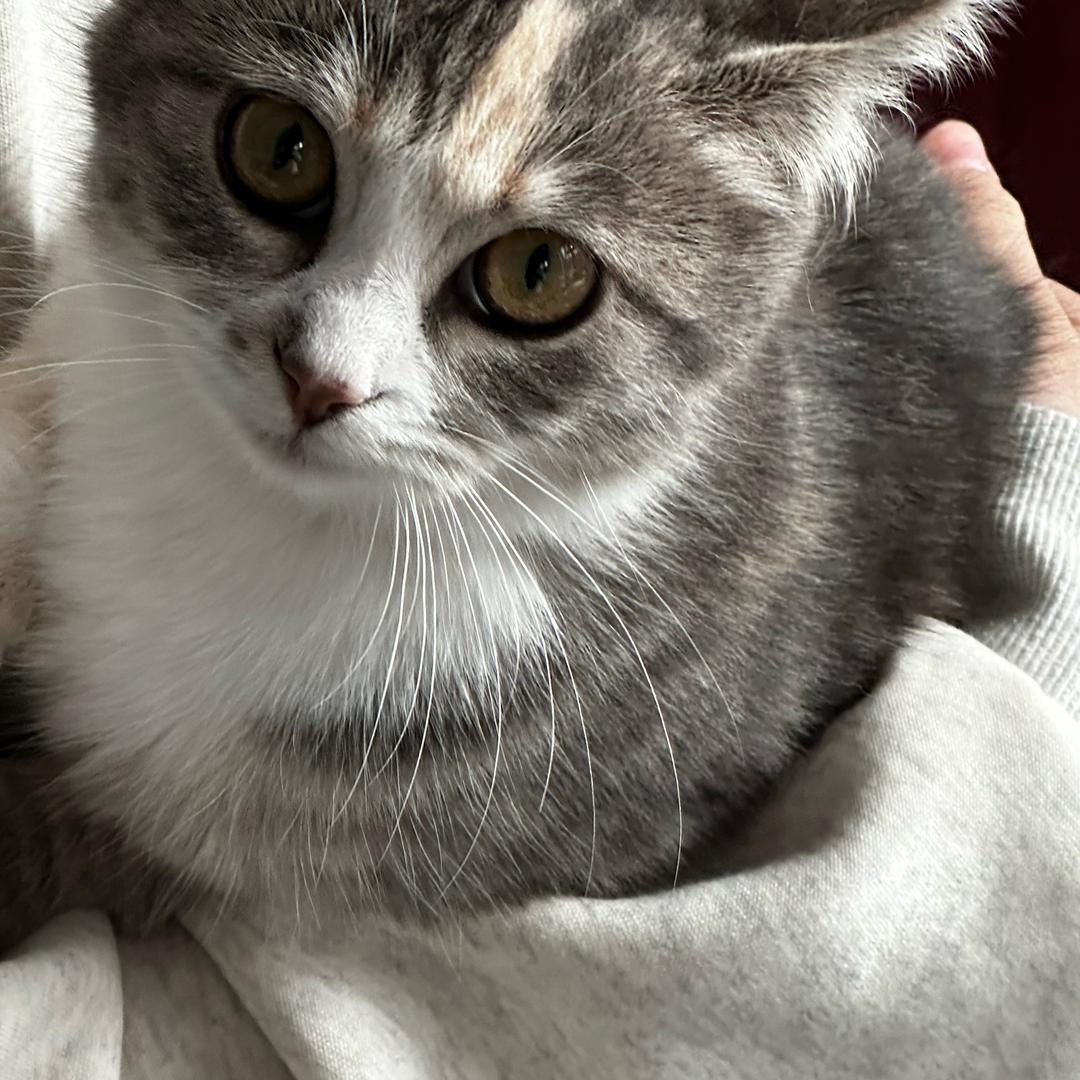 婷.