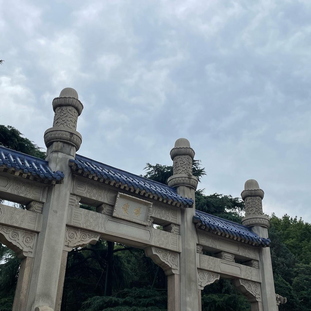 蹙眉先生