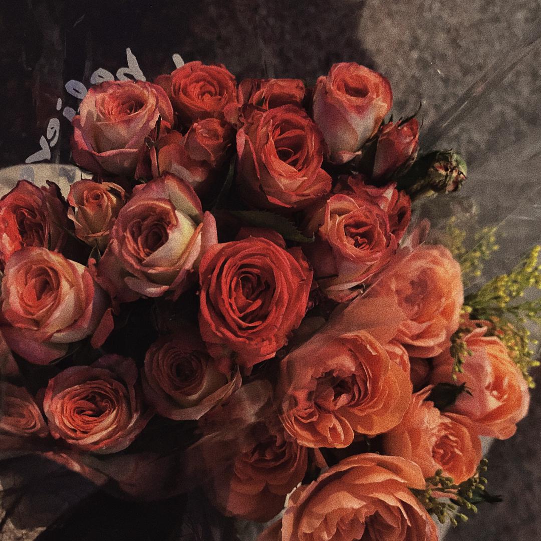 鞍前马后 安女士