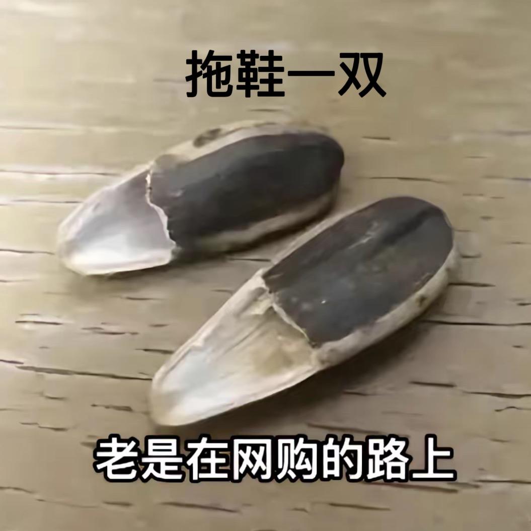 用户2778