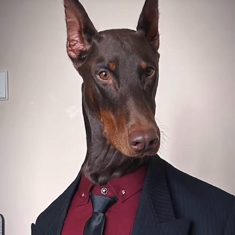 抖音该溜子到处逛