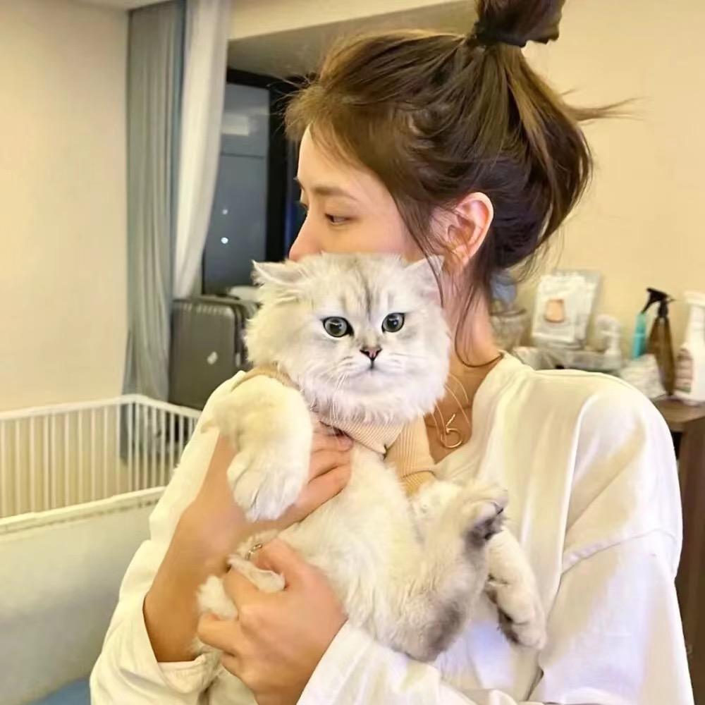 喵喵藏宝阁