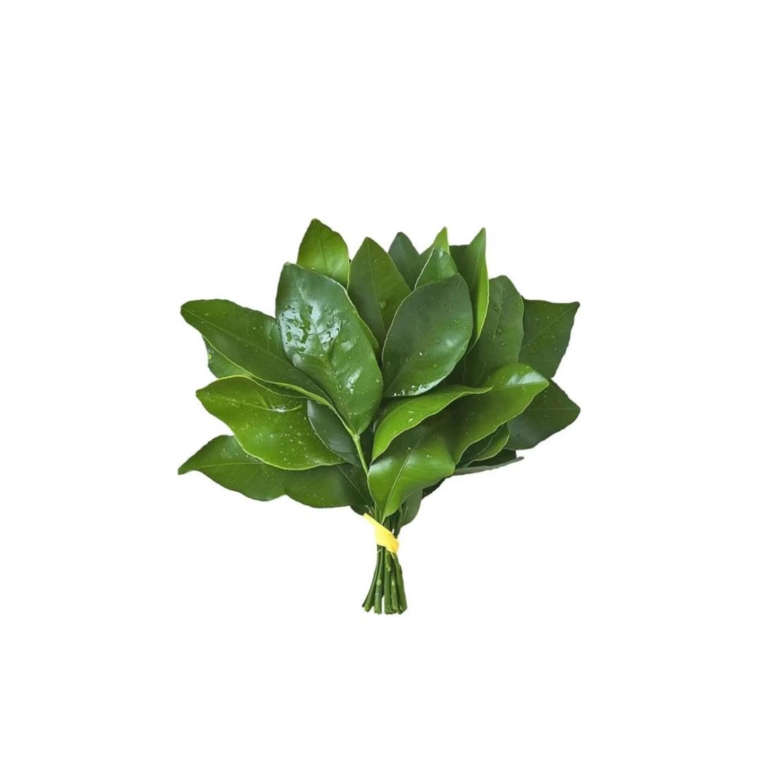 马文文