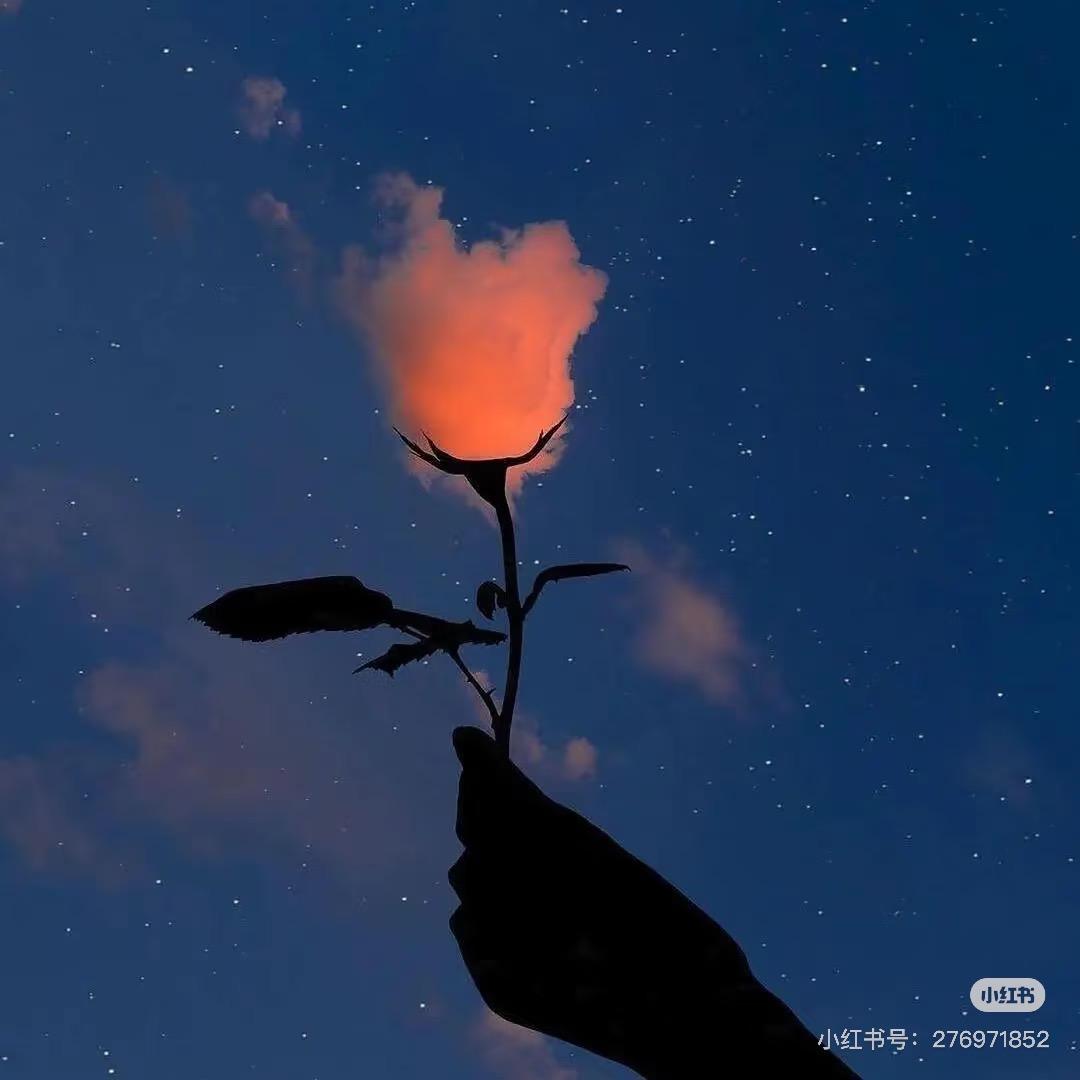 山茶花开在年糕里