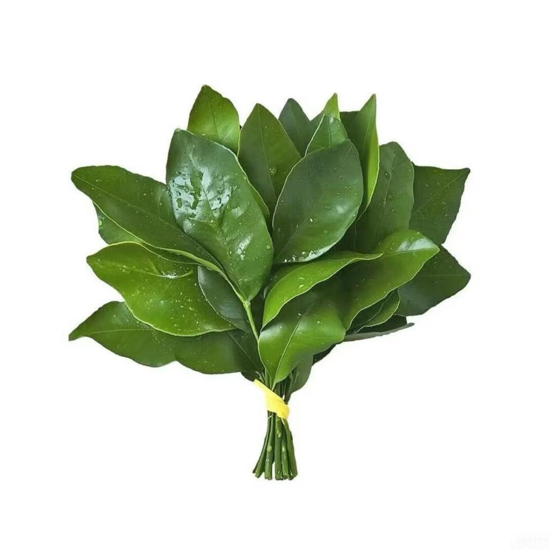 是哭包⁹⁰³