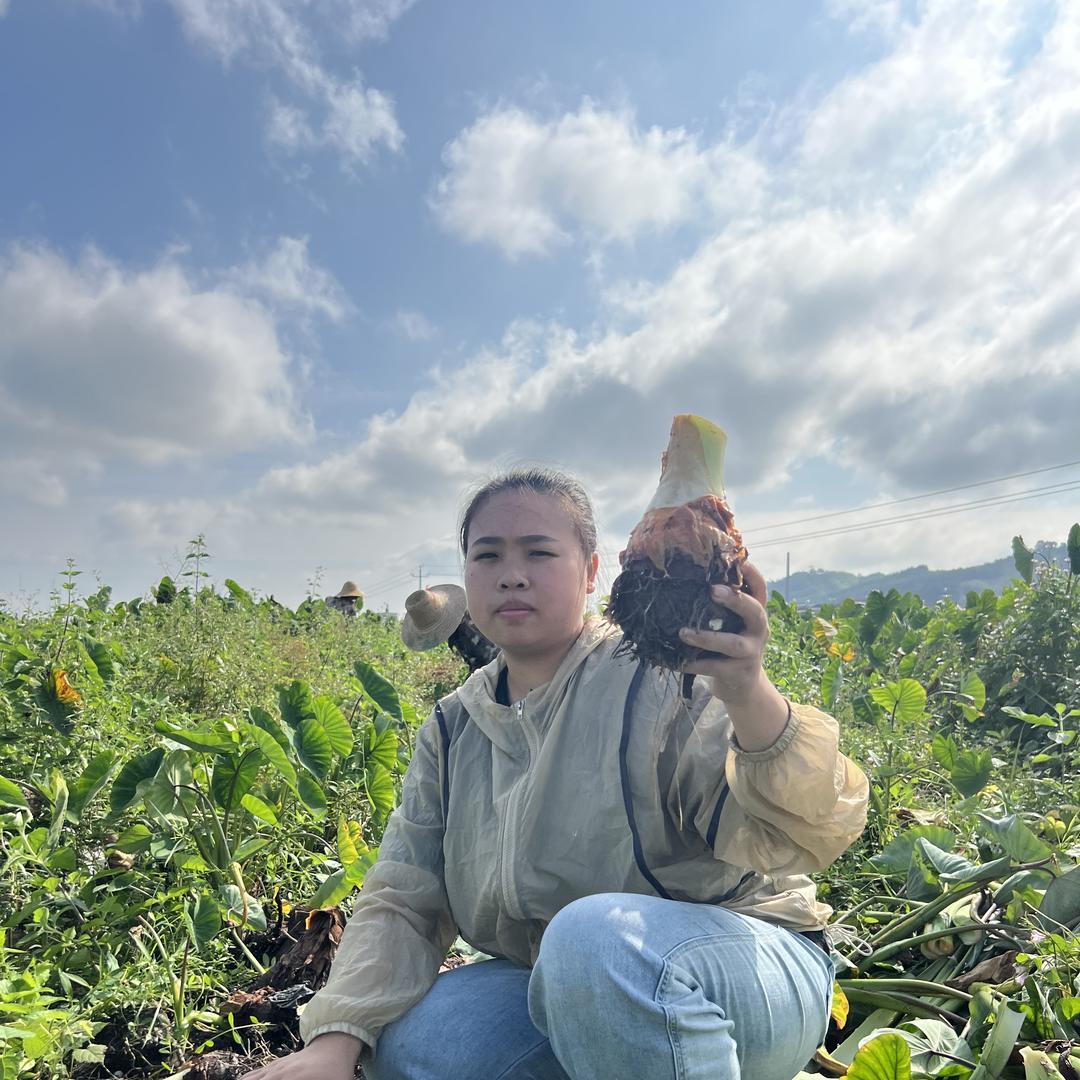 荔浦市妙丰土特产