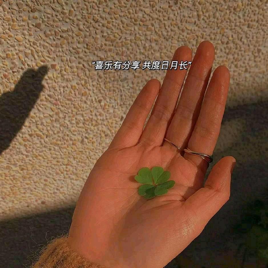 欧小沐🫶🏻🍀