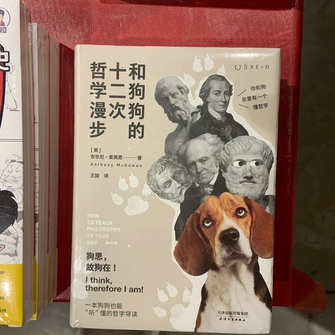 猫mǎo猫mào艺术家