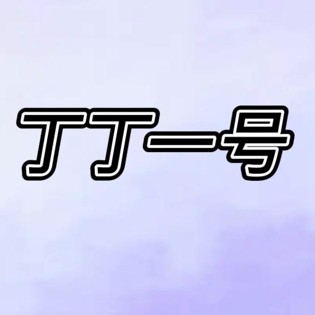 丁丁1号