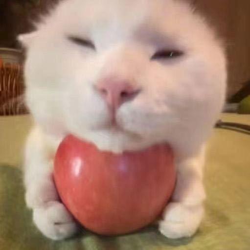 🫥🫥