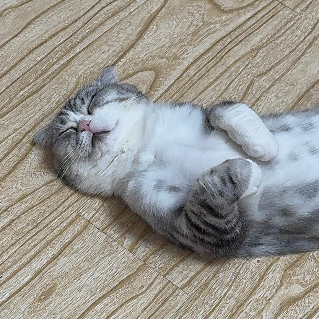 郑姐