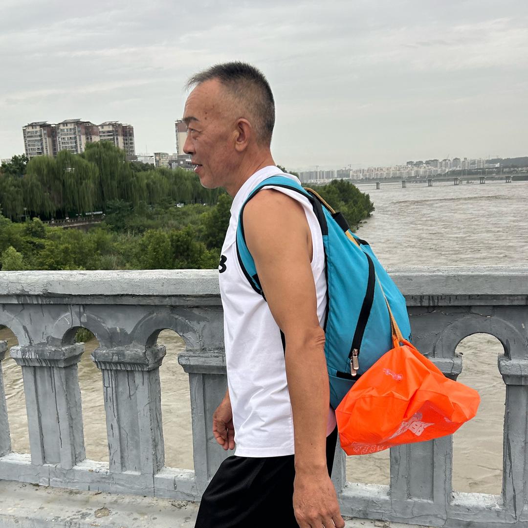 游来游去