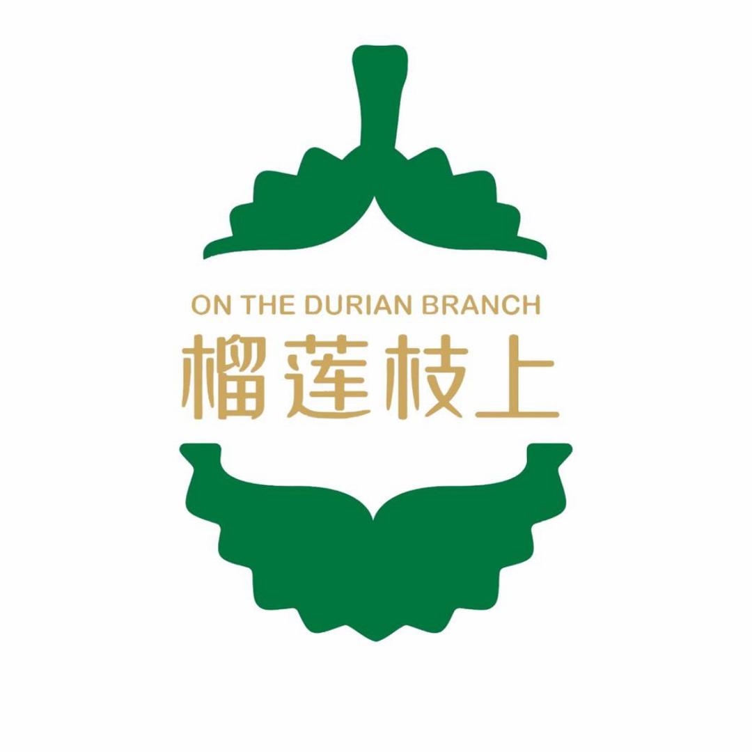 榴莲枝上