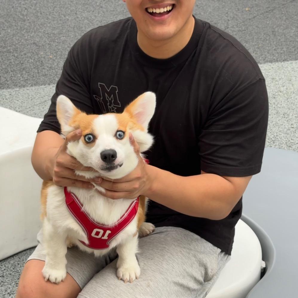 小毕宰治