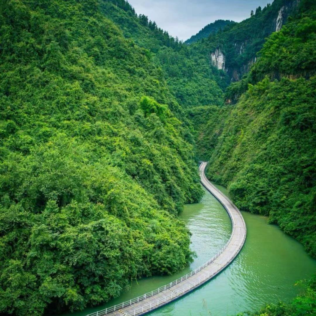 @…🛵🛵🛵.🎎