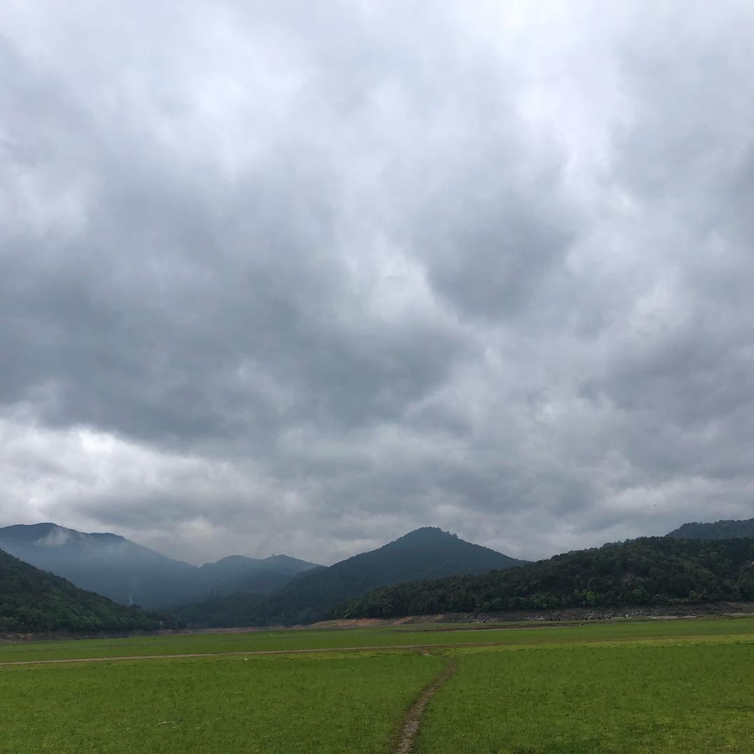 天下芬迪