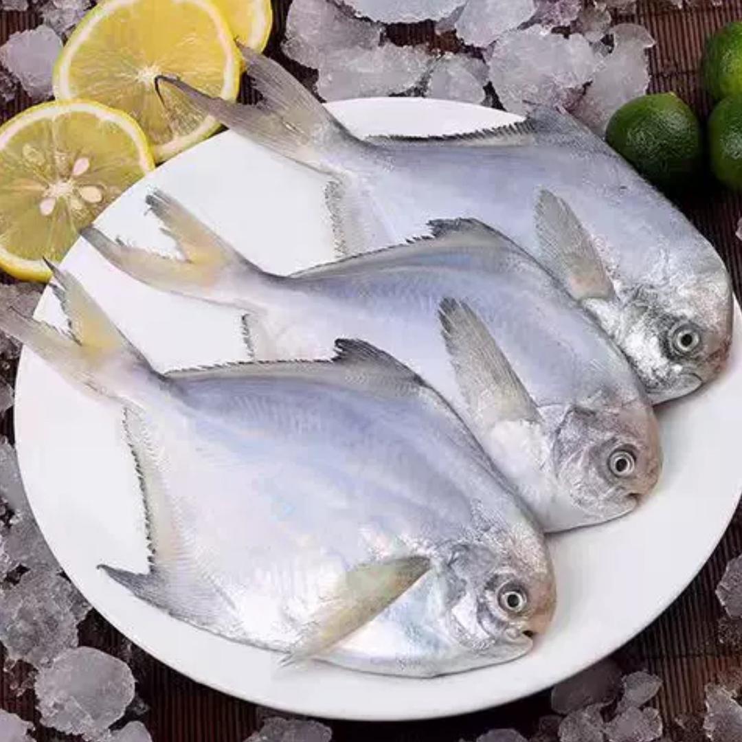 叶子家的海鲜