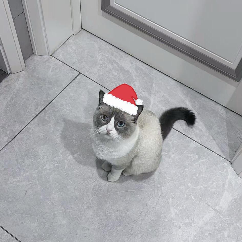 今天的晚饭坚决不吃