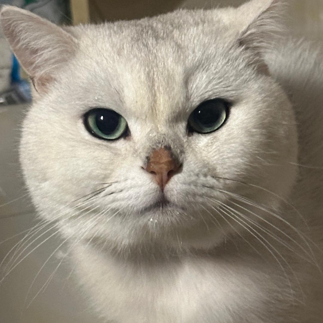 爱吃西瓜的老姨
