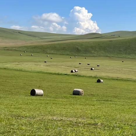 润田草业（批发）