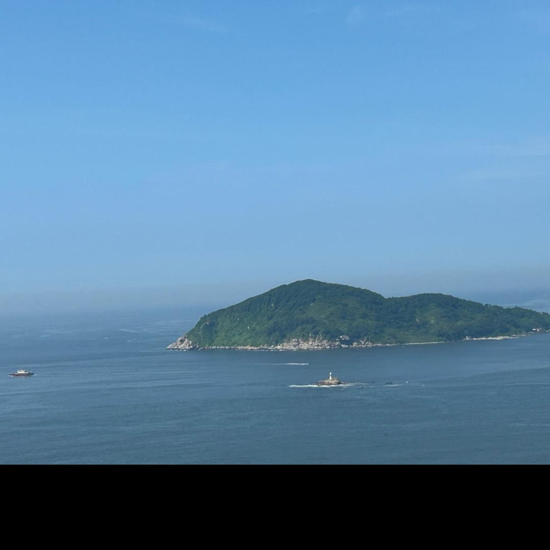 小涂涂312