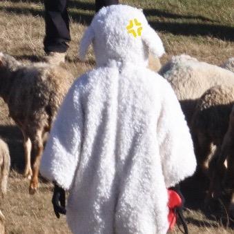 重生之我是泥爹🐾（原价票请吻上我）