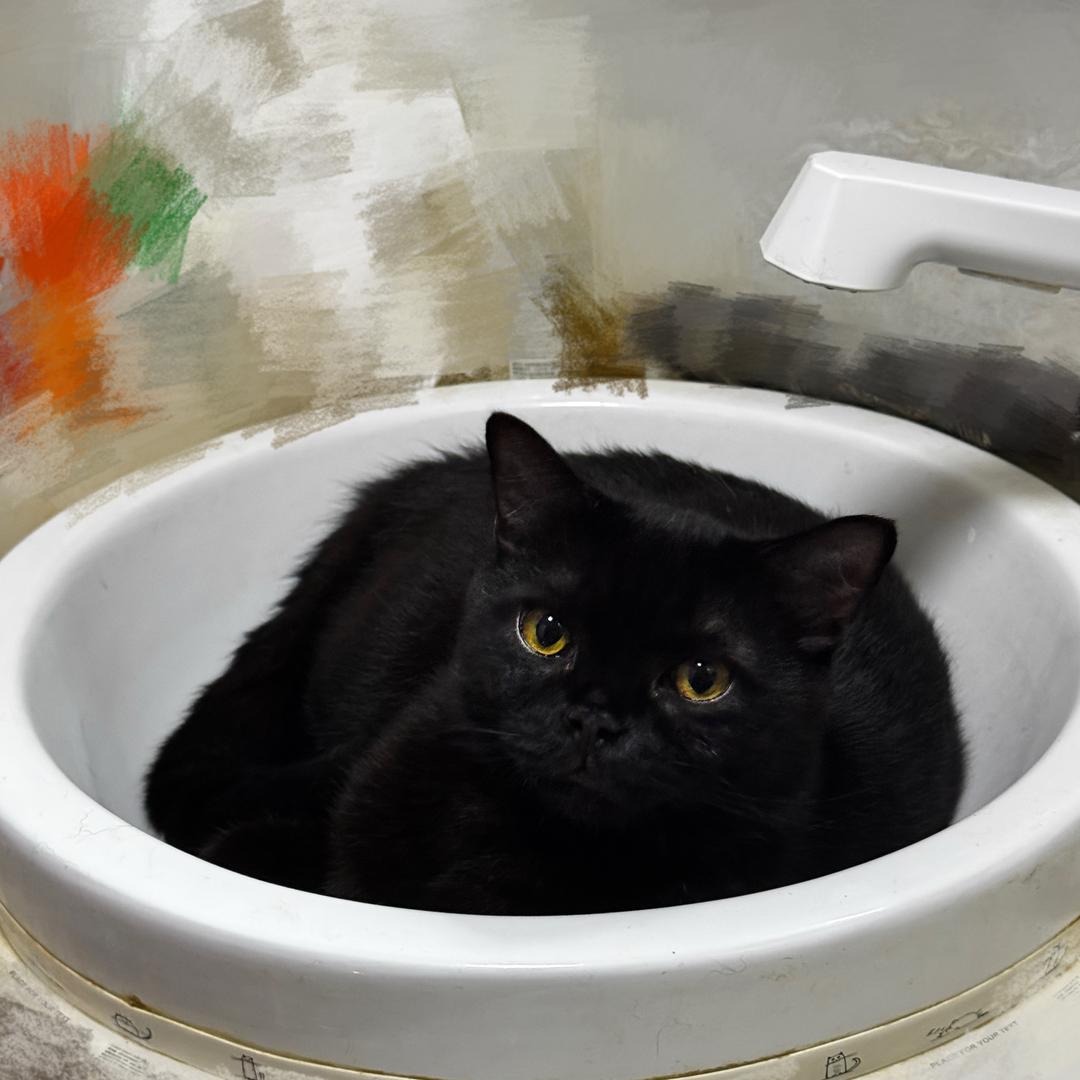 Qqqq
