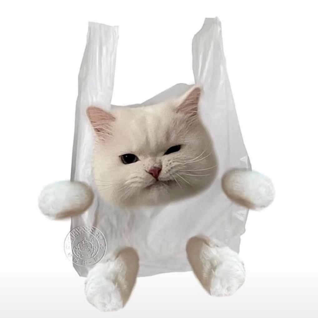 在这呢