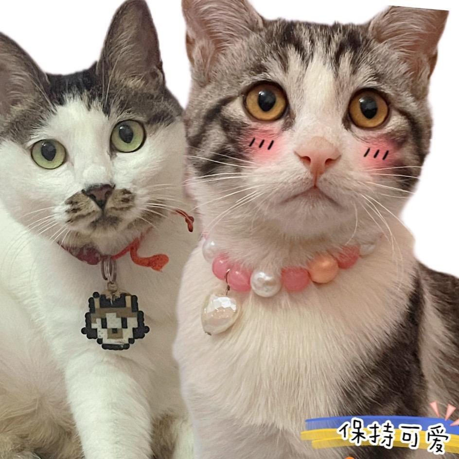 猫十咪