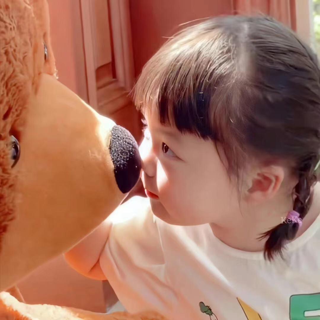 🌈燕子